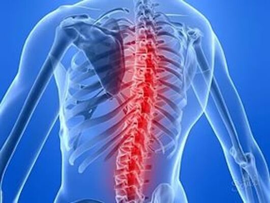 la enfermedad de la columna causa dolor de espalda