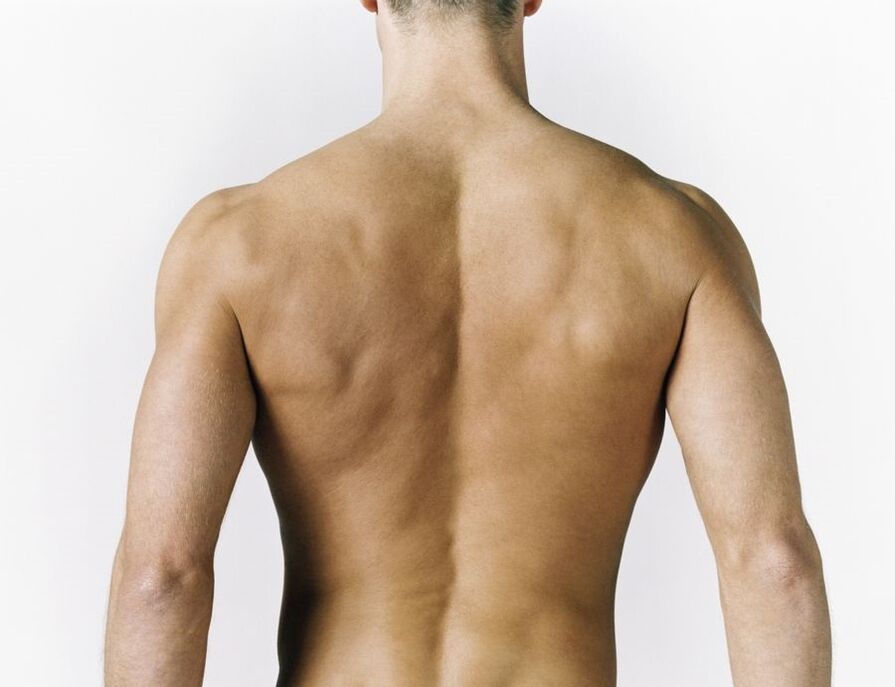 inflamación de los músculos de la espalda como causa de dolor entre los omóplatos